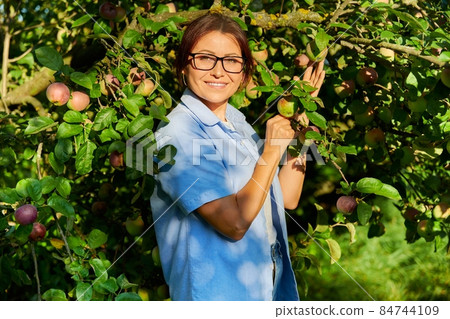 Outdoor portrait of a middle aged woman in an apple orchard. Outdoor portrait of a middle aged woman in an apple orchard. 84744109