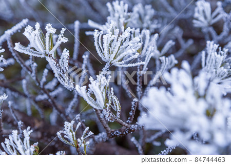 Rime on Mt. Tanigawa (extremely cold image) Rime on Mt. Tanigawa (extremely cold image) 84744463