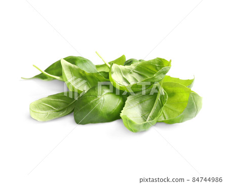 Pile of fresh basil leaves isolated on white Pile of fresh basil leaves isolated on white 84744986