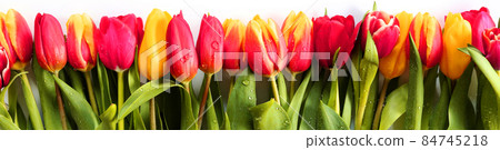 Flowers border on white 84745218