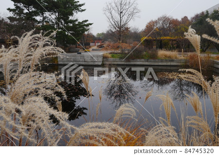 國立韓國博物館牡丹池 84745320
