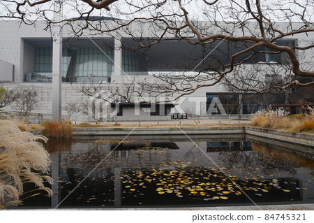韓國國立博物館秋景 84745321