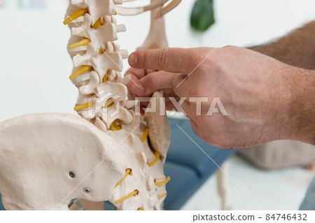 Doctor man pointing on spine of human skeleton anatomical model. Physiotherapist explaining joints model. Chiropractor or osteopath points to the skeleton of human body. Bones anatomy close up. 84746432