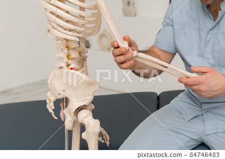 Doctor man pointing on arm of human skeleton anatomical model. Physiotherapist explaining joints model. Chiropractor or osteopath points to the skeleton of human body. Bones anatomy close up. Doctor man pointing on arm of human skeleton anatomical model. Physiotherapist explaining joints model. Chiropractor or osteopath points to the skeleton of human body. Bones anatomy close up. 84746483