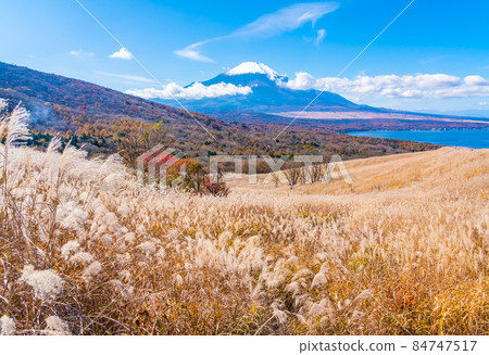 從全景看台上看到的富士山 從全景看台上看到的富士山 84747517