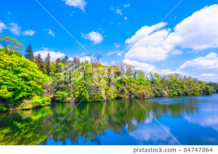 Osaka Prefectural Forest Fresh Green Muroike 84747864