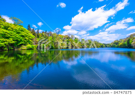 Osaka Prefectural Forest Fresh Green Muroike Osaka Prefectural Forest Fresh Green Muroike 84747875