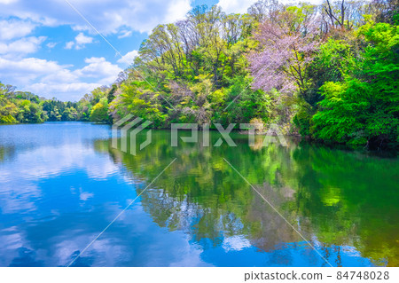 Osaka Prefectural Forest Fresh Green Muroike Osaka Prefectural Forest Fresh Green Muroike 84748028