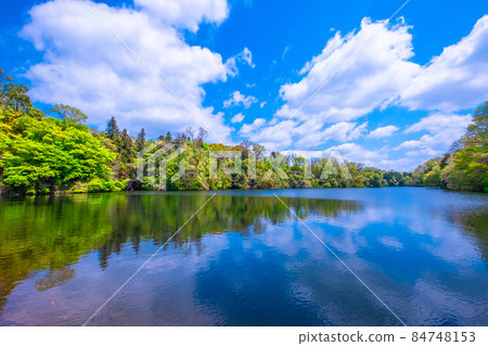 Osaka Prefectural Forest Fresh Green Muroike 84748153