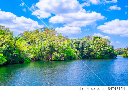 Osaka Prefectural Forest Fresh Green Muroike Osaka Prefectural Forest Fresh Green Muroike 84748154