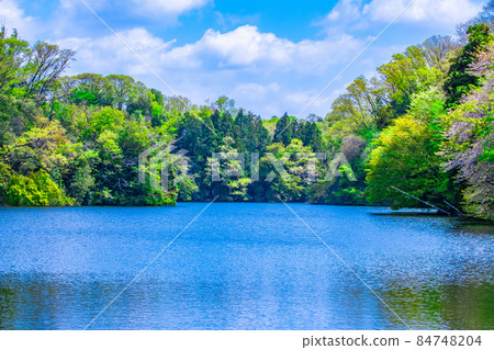 Osaka Prefectural Forest Fresh Green Muroike Osaka Prefectural Forest Fresh Green Muroike 84748204