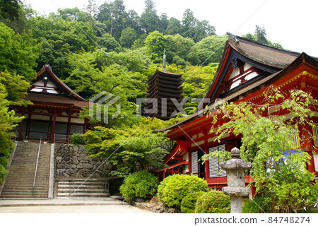 Tsuyama Shrine Tsuyama Shrine 84748274
