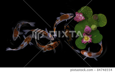 Koi fish swim artificial ponds with a beautiful background of green plants Koi fish swim artificial ponds with a beautiful background of green plants 84748554