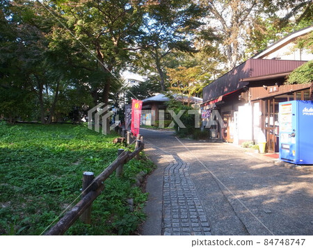 井之頭公園 84748747