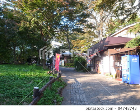井之頭公園 井之頭公園 84748748