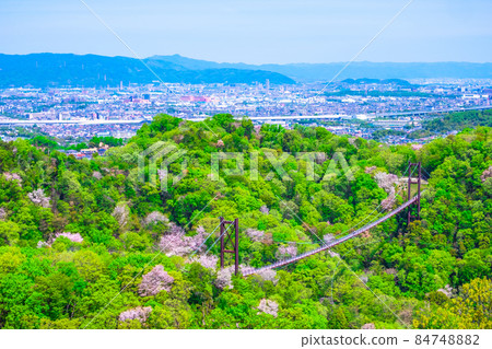Prefectural Forest Fresh green of Hoshida Garden 84748882