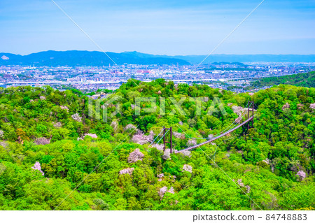 Prefectural Forest Fresh green of Hoshida Garden 84748883