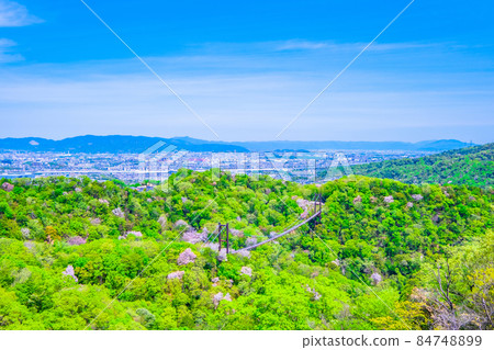 Prefectural Forest Fresh green of Hoshida Garden Prefectural Forest Fresh green of Hoshida Garden 84748899