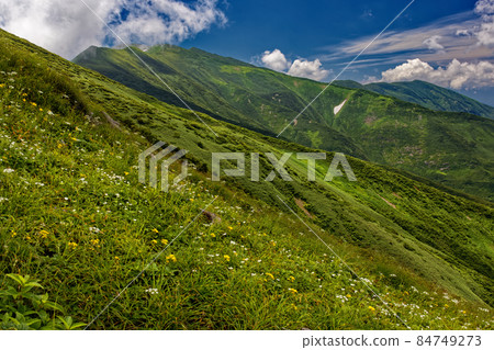 龍門山的高山植物和朝日山脈以及雲霧繚繞的主脊線 84749273