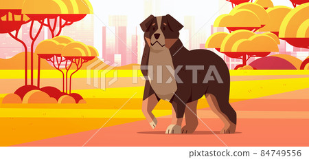 retriever icon cute dog labrador dreaming about bone furry human friends domestic animals concept retriever icon cute dog labrador dreaming about bone furry human friends domestic animals concept 84749556