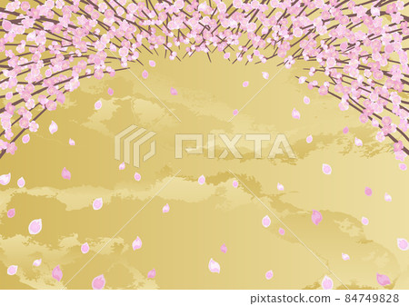 Peach tree looking up 84749828