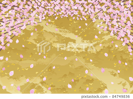 Peach tree looking up 84749836