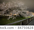 櫻花 84750828