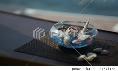 裝飾時尚的貝殼 裝飾時尚的貝殼 84751478