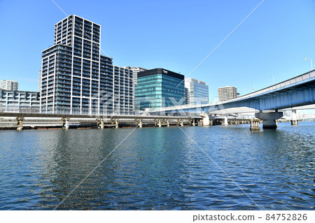 Shinagawa Seaside / Shinagawa Seaside Forest Area (Shinagawa-ku, Tokyo) [2021.12] 84752826