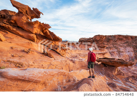 Hike in Nevada 84754648