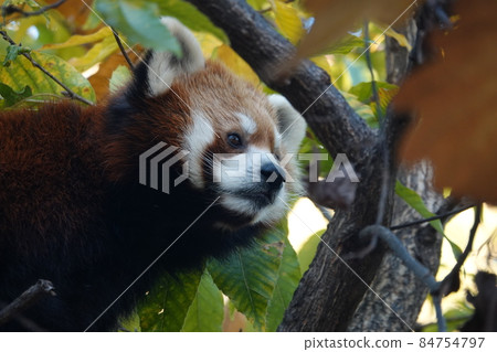 What's ahead of your eyes 84754797