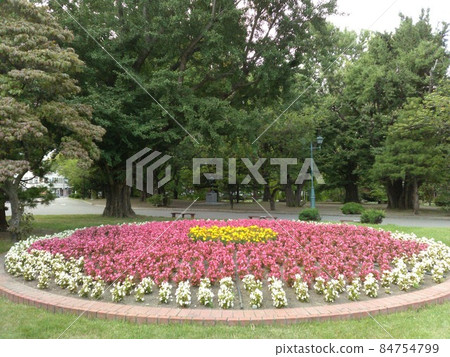 Former Hokkaido Government Office Building Red Brick Flowerbed in front of the Government Office Former Hokkaido Government Office Building Red Brick Flowerbed in front of the Government Office 84754799