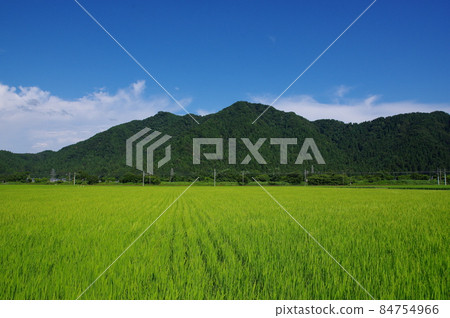 從福井市郊看文殊山 84754966