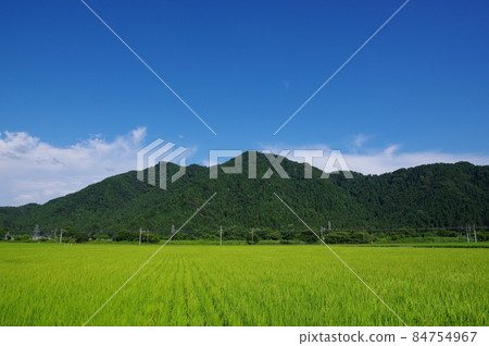 從福井市郊看文殊山 84754967