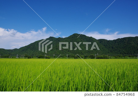 從福井市郊看文殊山 84754968