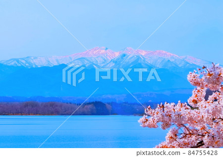 Zao mountain range of remaining snow, lake and Yoshino cherry tree in full bloom 84755428