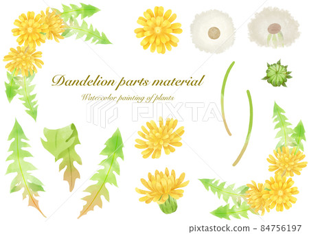Watercolor style parts material of wild flowers and dandelions 84756197