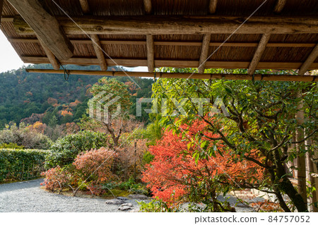 Kyoto Koetsuji Garden Kyoto Koetsuji Garden 84757052