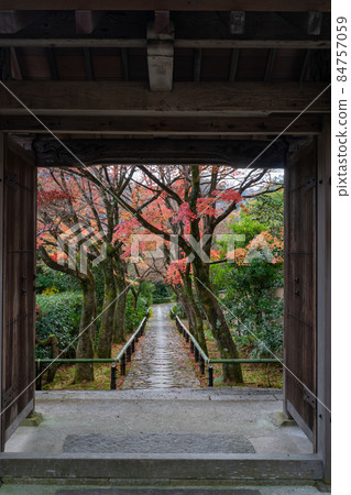 京都ji寺廟秋葉在京都 京都ji寺廟秋葉在京都 84757059