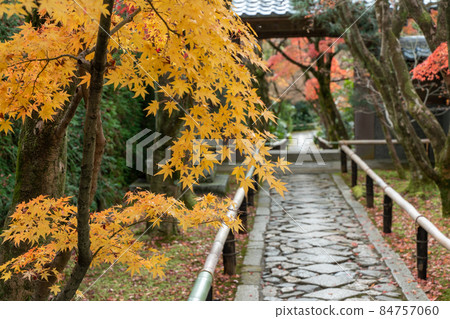 京都ji寺廟秋葉在京都 京都ji寺廟秋葉在京都 84757060