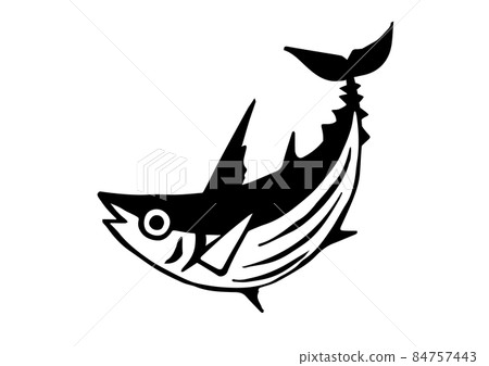 鰹魚圖 84757443
