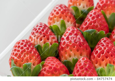 一護秋姬 一護秋姬 84757474