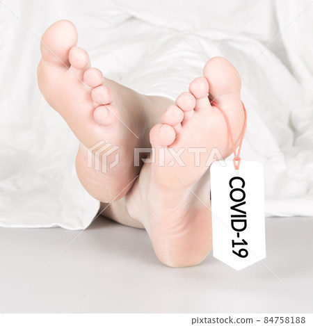 Body with toe tag on white 84758188