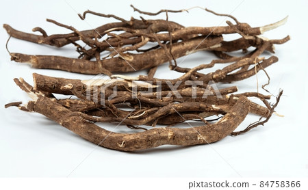 Roots of Siberian ginseng, Eleutherococcus senticosus, traditional herbal medicine. Roots of Siberian ginseng, Eleutherococcus senticosus, traditional herbal medicine. 84758366