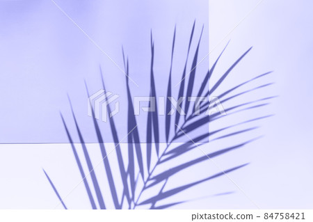 Tropical palm leaves on violet and white background with hard shadows from palm leaves. minimal summer background concept. Toned in color of the year 2022, very peri. Tropical palm leaves on violet and white background with hard shadows from palm leaves. minimal summer background concept. Toned in color of the year 2022, very peri. 84758421