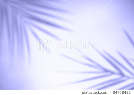 Tropical palm leaves on violet and white background with hard shadows from palm leaves. minimal summer background concept. Toned in color of the year 2022, very peri. Tropical palm leaves on violet and white background with hard shadows from palm leaves. minimal summer background concept. Toned in color of the year 2022, very peri. 84758422