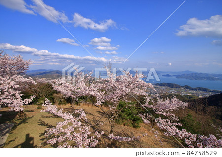 The Seto Inland Sea and Takehara City seen from Mt. Asahi in spring 84758529