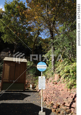 Hamamatsu City, Shizuoka Prefecture Warmth Forest 84758883