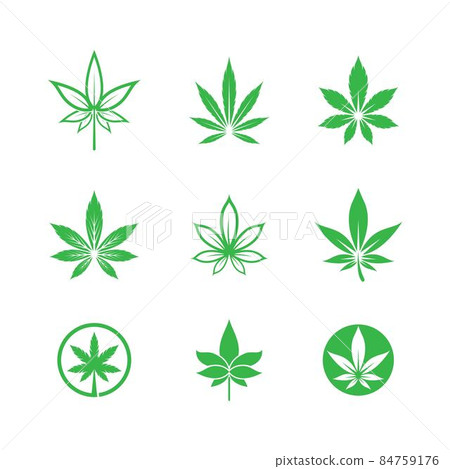 Cannabis logo template vector 84759176