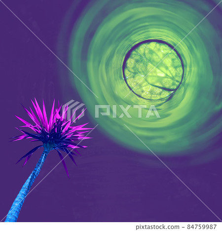 Contemporary collage. Palm tree of neon color on an abstract background with a shining planet. 84759987